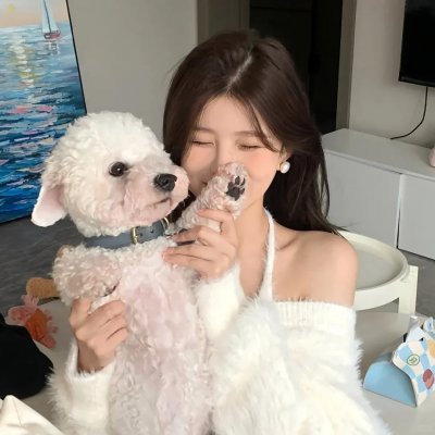 驴子潘趣